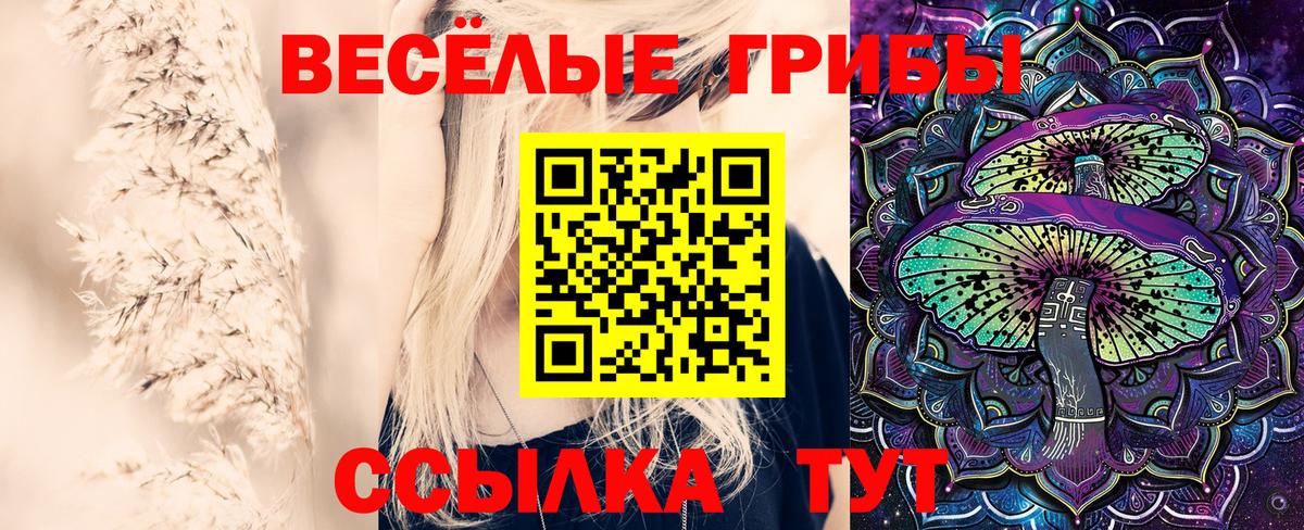 Галлюциногенные грибы MAGIC MUSHROOMS  Галлюциногенные грибы MAGIC MUSHROOMS  Сургут 