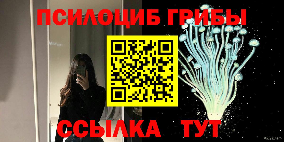 Сургут  Галлюциногенные грибы Psilocybe  Псилоцибиновые грибы прущие грибы  Вход с VPN 