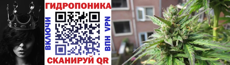 OMG tor  Сургут  Бошки марихуана сатива 