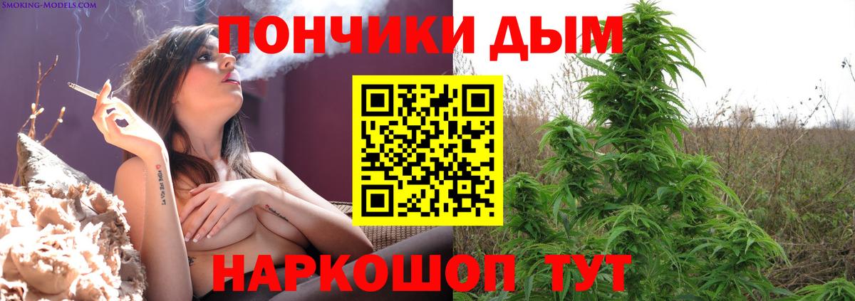 Бошки марихуана OG Kush Сургут
